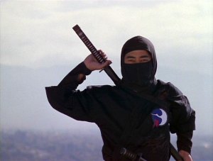 sho-kosugi-ninja